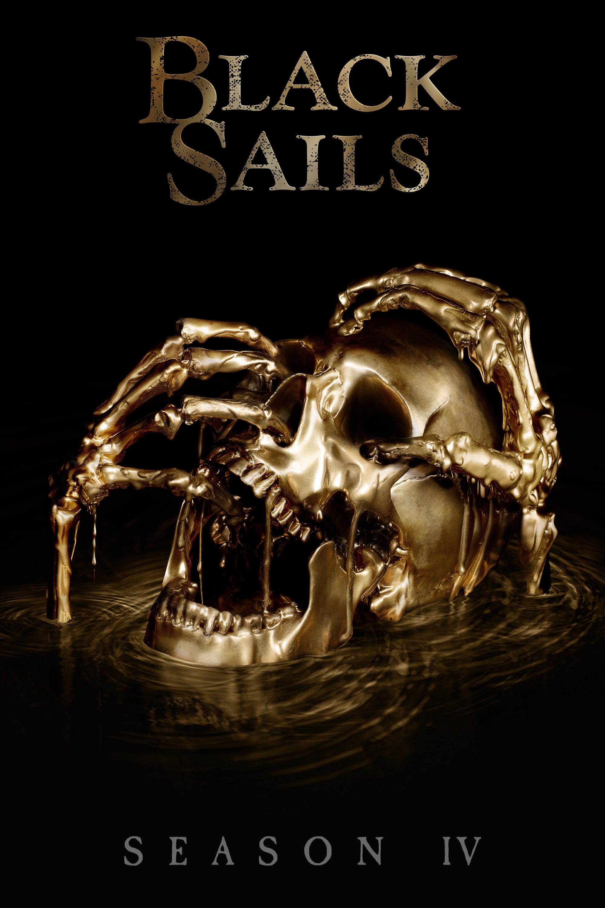 Plakat filmu Piraci: sezon 4