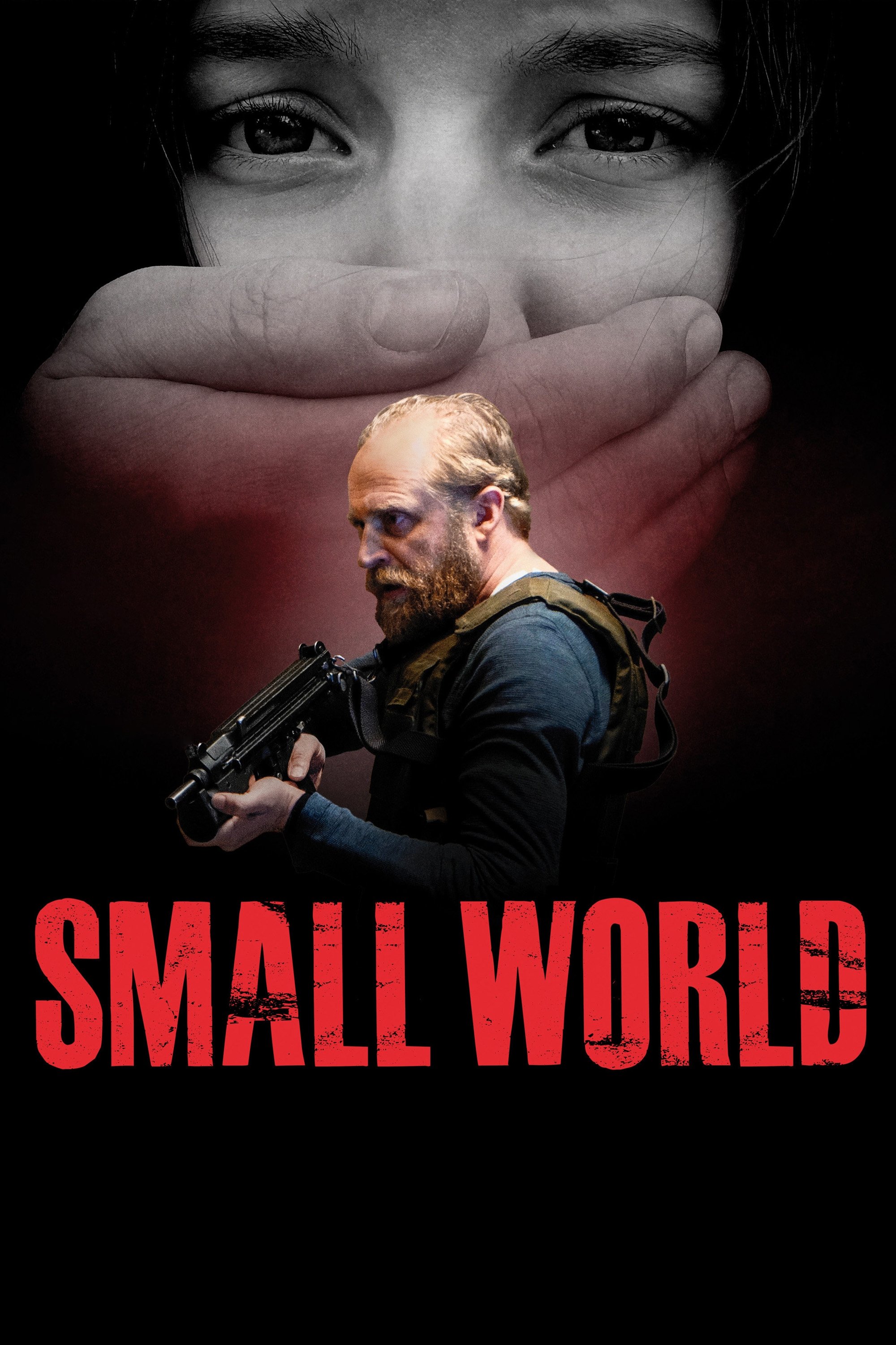 Plakat filmu Small World